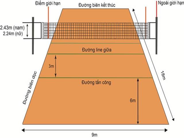 Các đường kẻ trong sân cầu lông