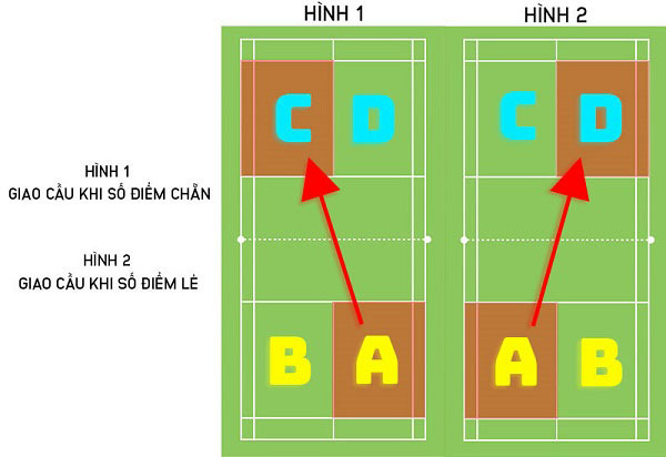 Các quy tắc giao cầu cầu lông theo đường sân là gì