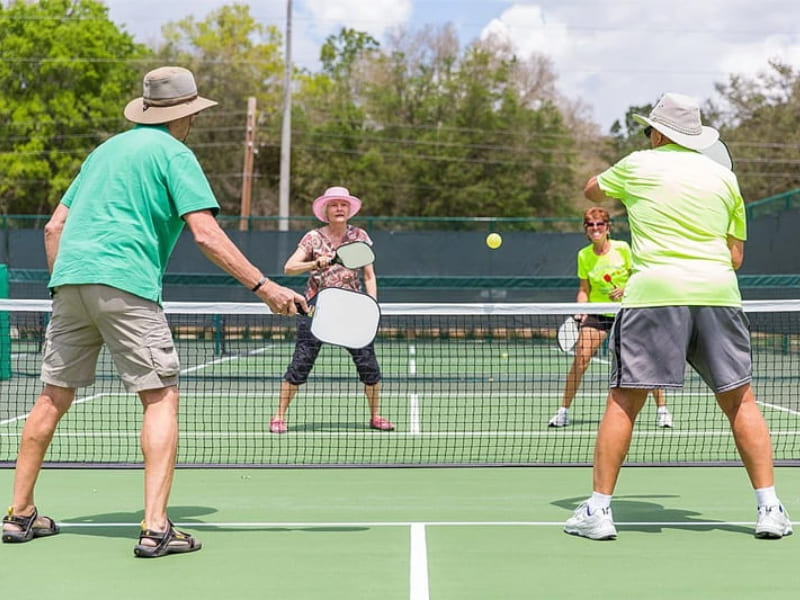 trò chơi thể thao pickleball