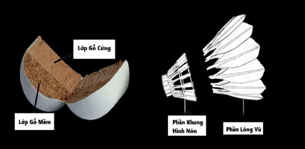 Chia sẻ cấu tạo quả cầu lông theo tiêu chuẩn thi đấu