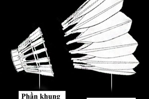 Tìm hiểu thông số quả cầu lông chi tiết từ A – Z