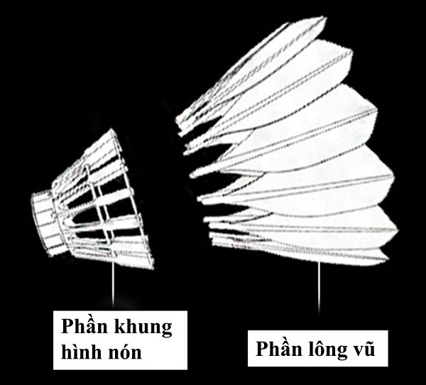Phần tán cầu lông