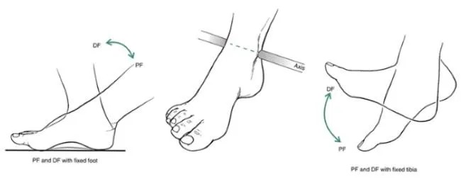 khởi động trước khi đánh cầu lông